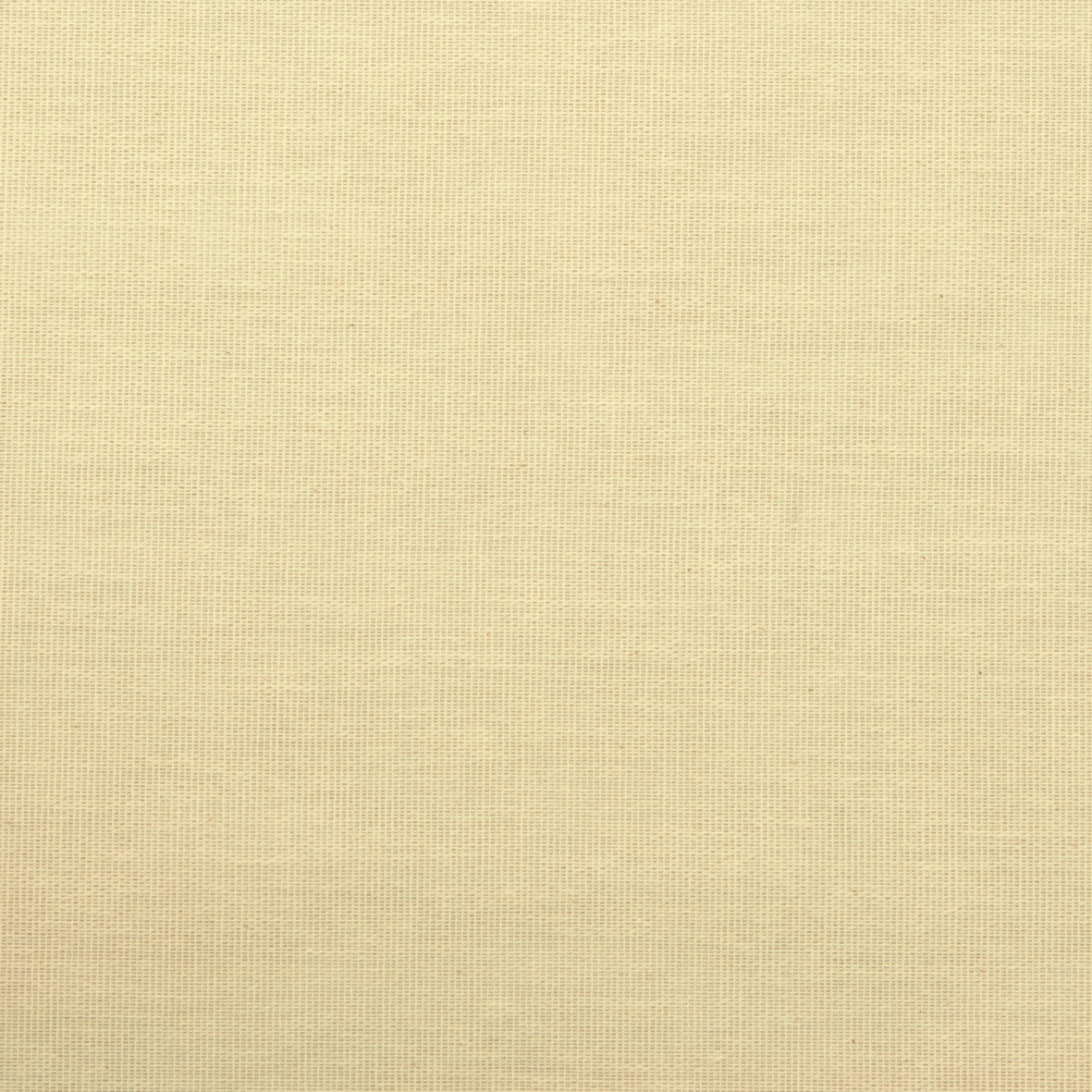 Kaasdoek · 300 cm · ecru · 60m